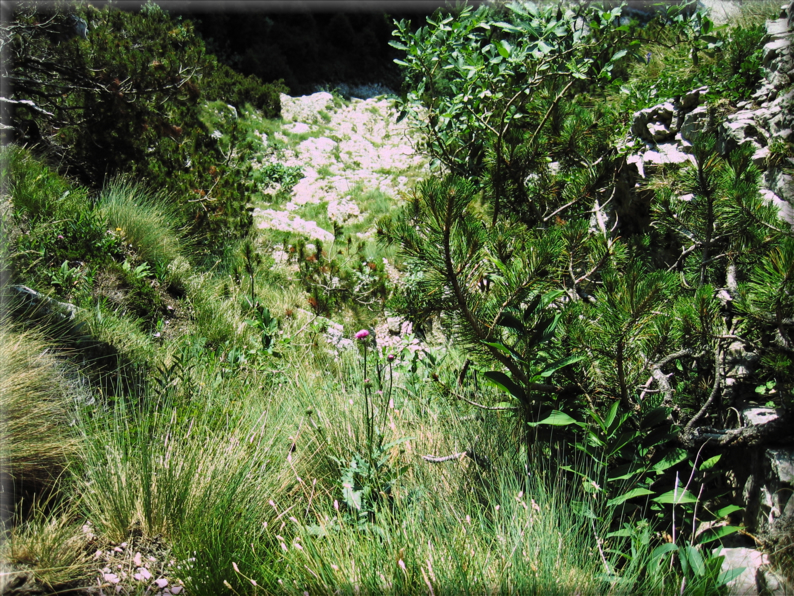 foto Strada delle 52 Gallerie sul Pasubio